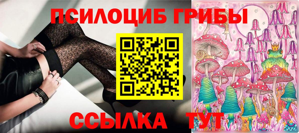Псилоцибиновые грибы Psilocybine cubensis  где можно купить   Избербаш  Псилоцибиновые грибы прущие грибы  Вход с VPN 