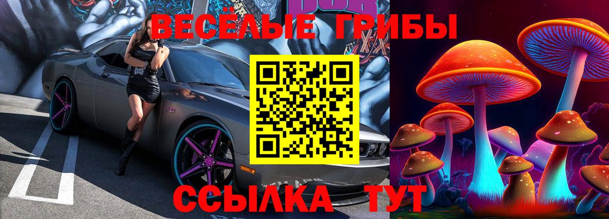 Галлюциногенные грибы MAGIC MUSHROOMS Избербаш